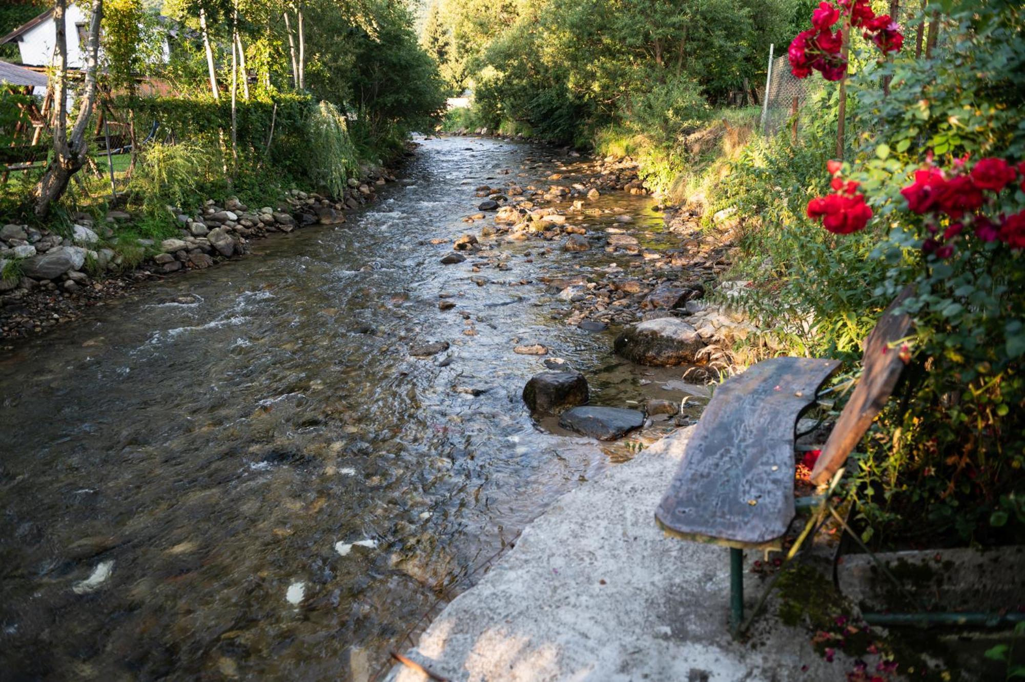 Casa de vacanta Vidrighin Rau Sadului Cameră foto