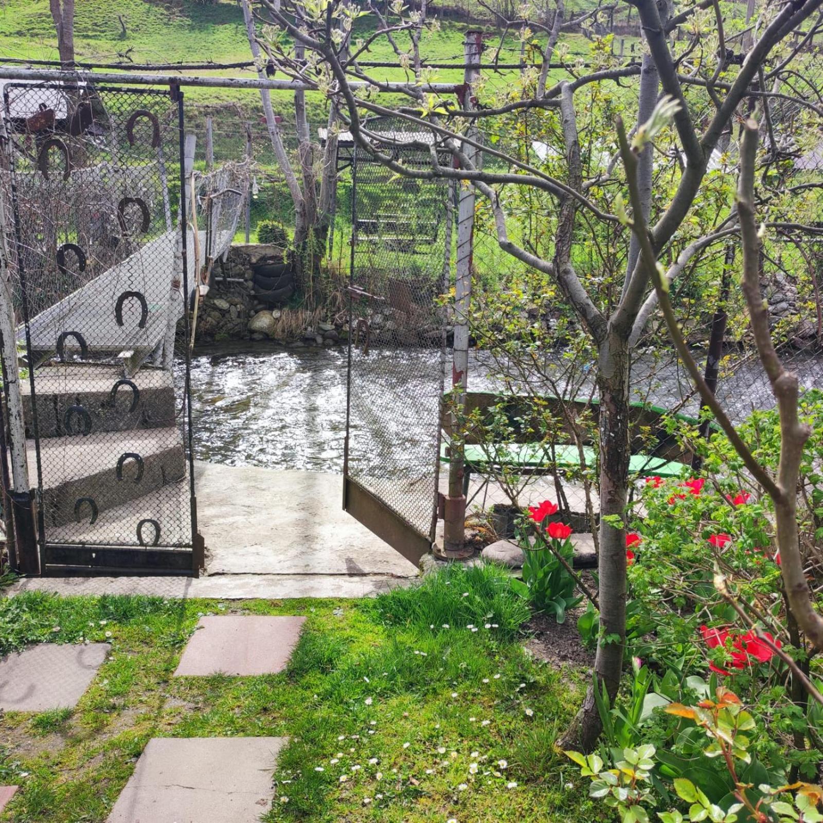 Casa de vacanta Vidrighin Rau Sadului Cameră foto