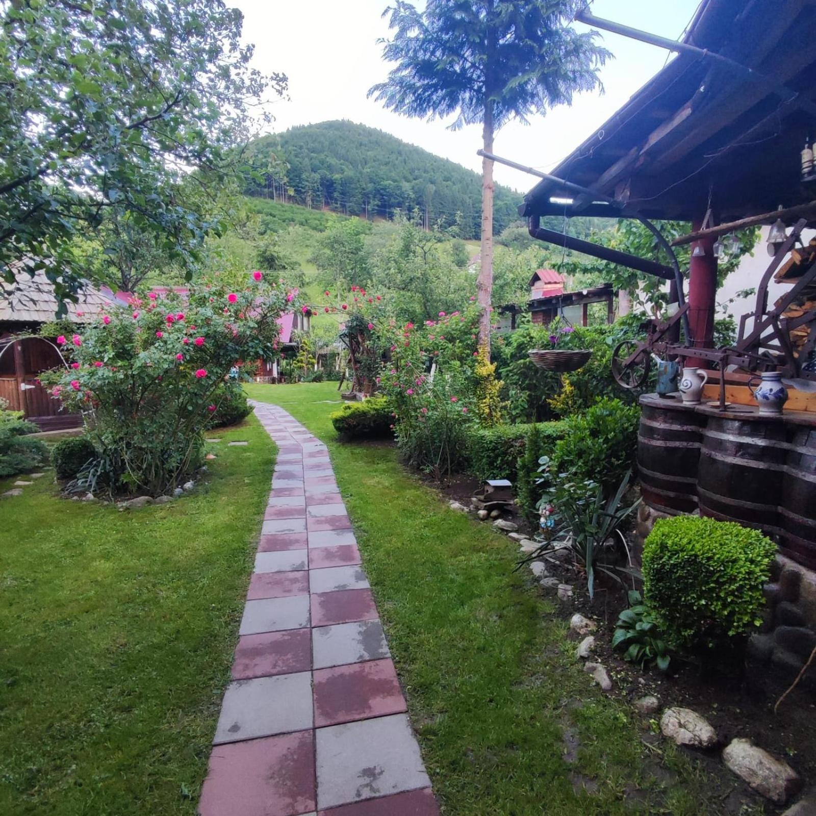 Casa de vacanta Vidrighin Rau Sadului Cameră foto
