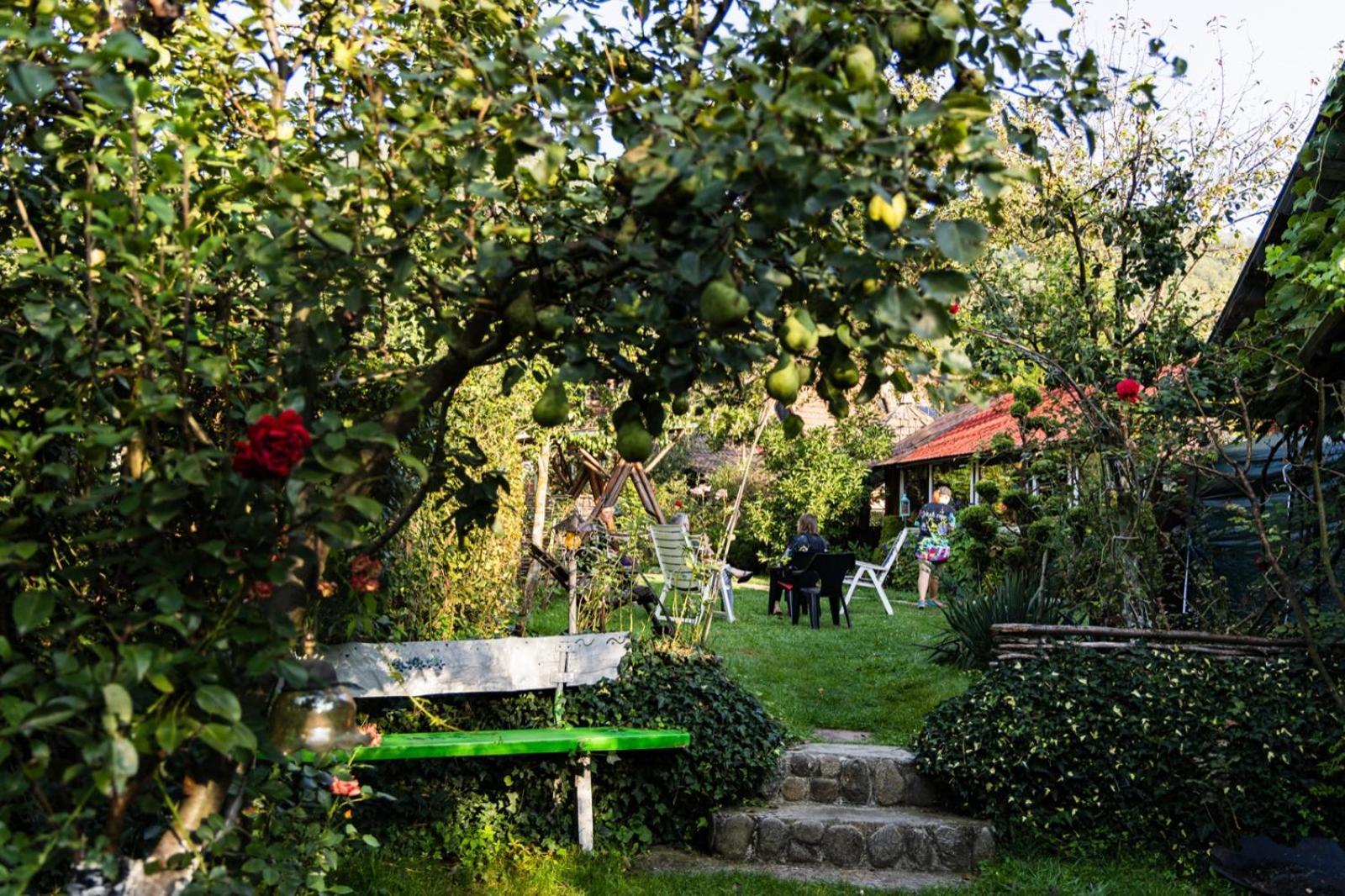 Casa de vacanta Vidrighin Rau Sadului Cameră foto