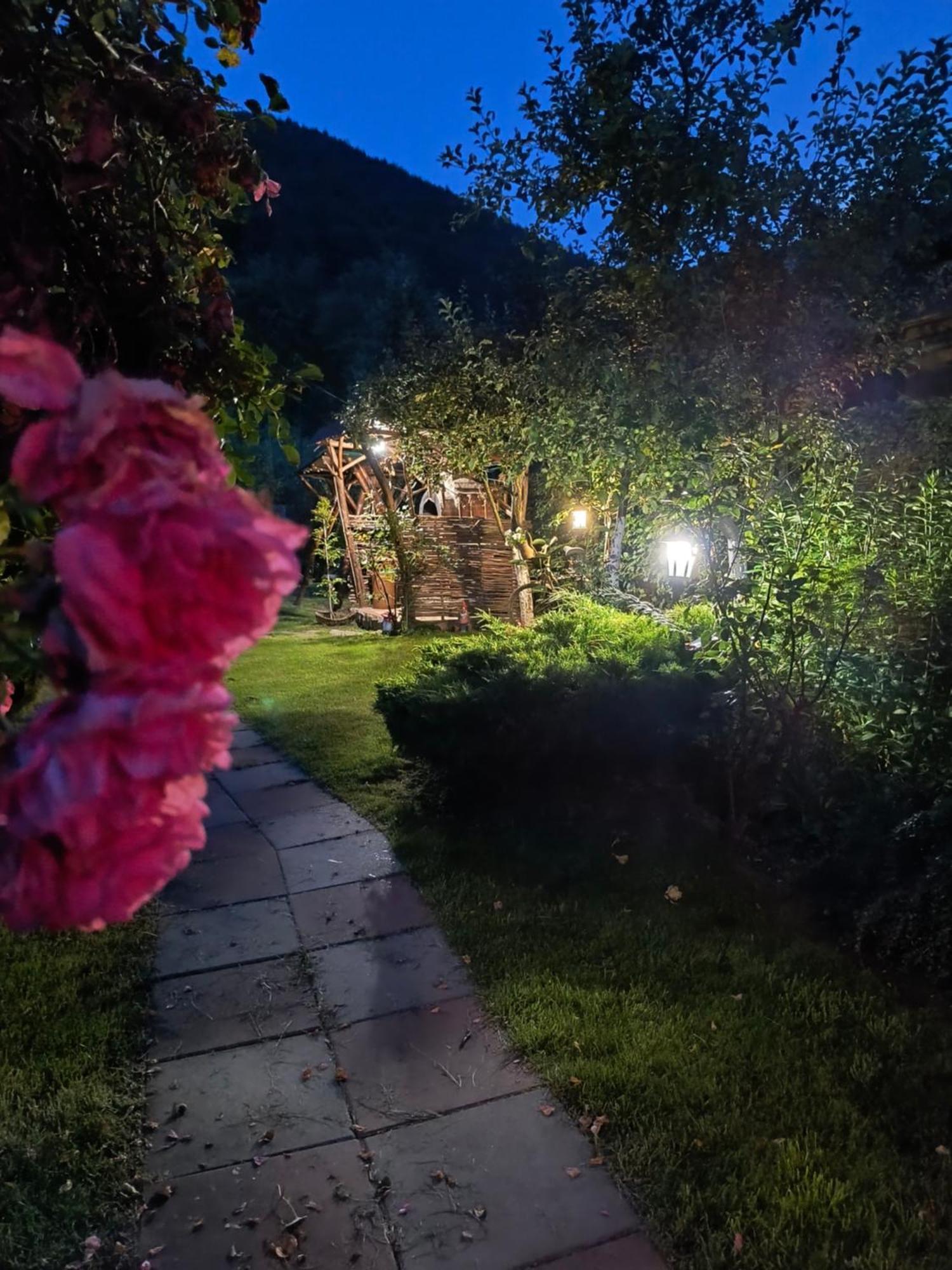 Casa de vacanta Vidrighin Rau Sadului Cameră foto